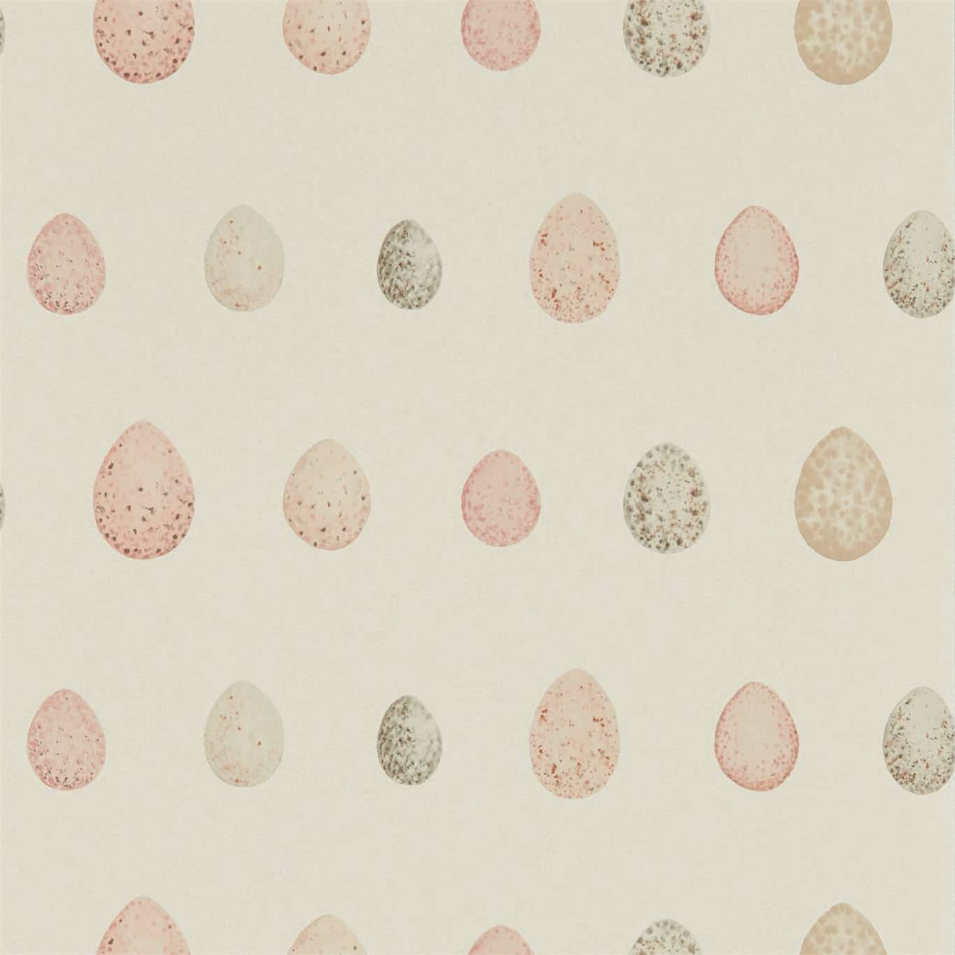 Nest Egg