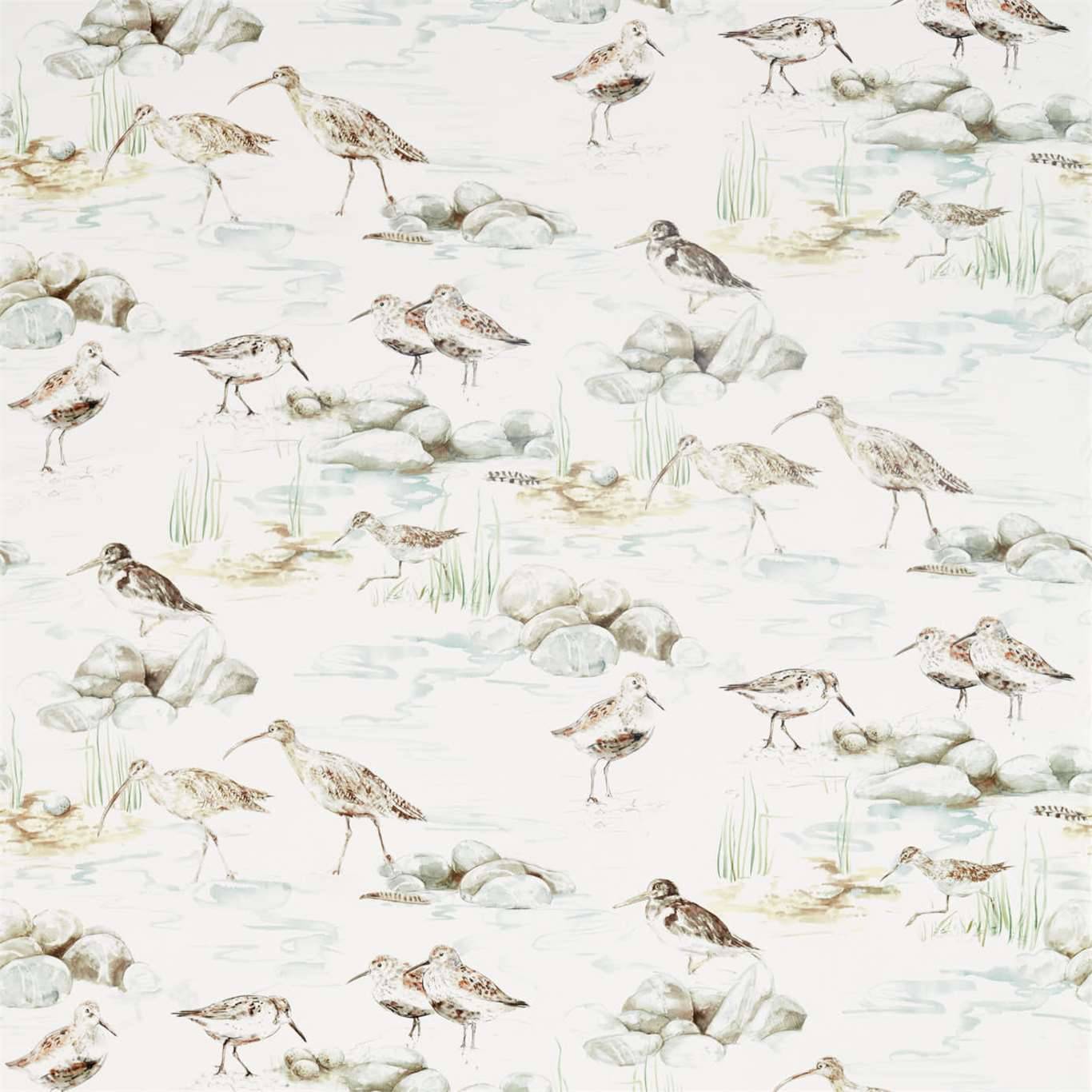 Estuary Birds
