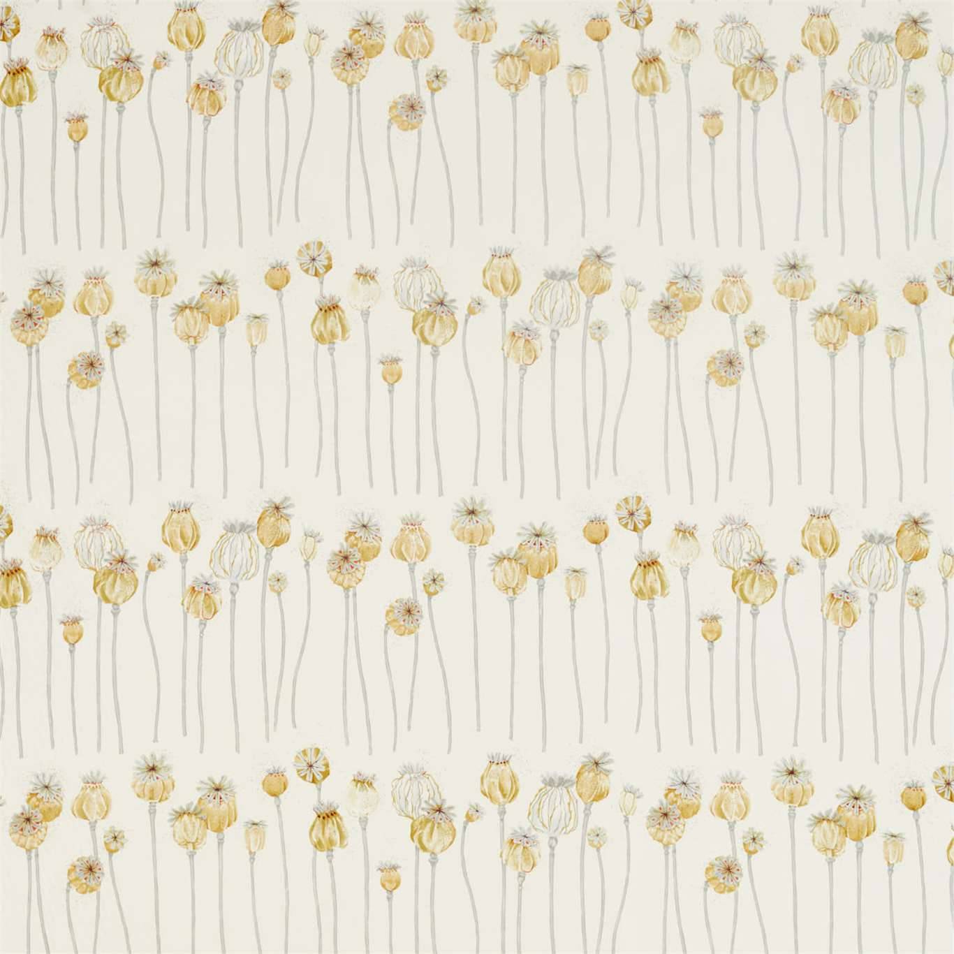 Poppy Pods