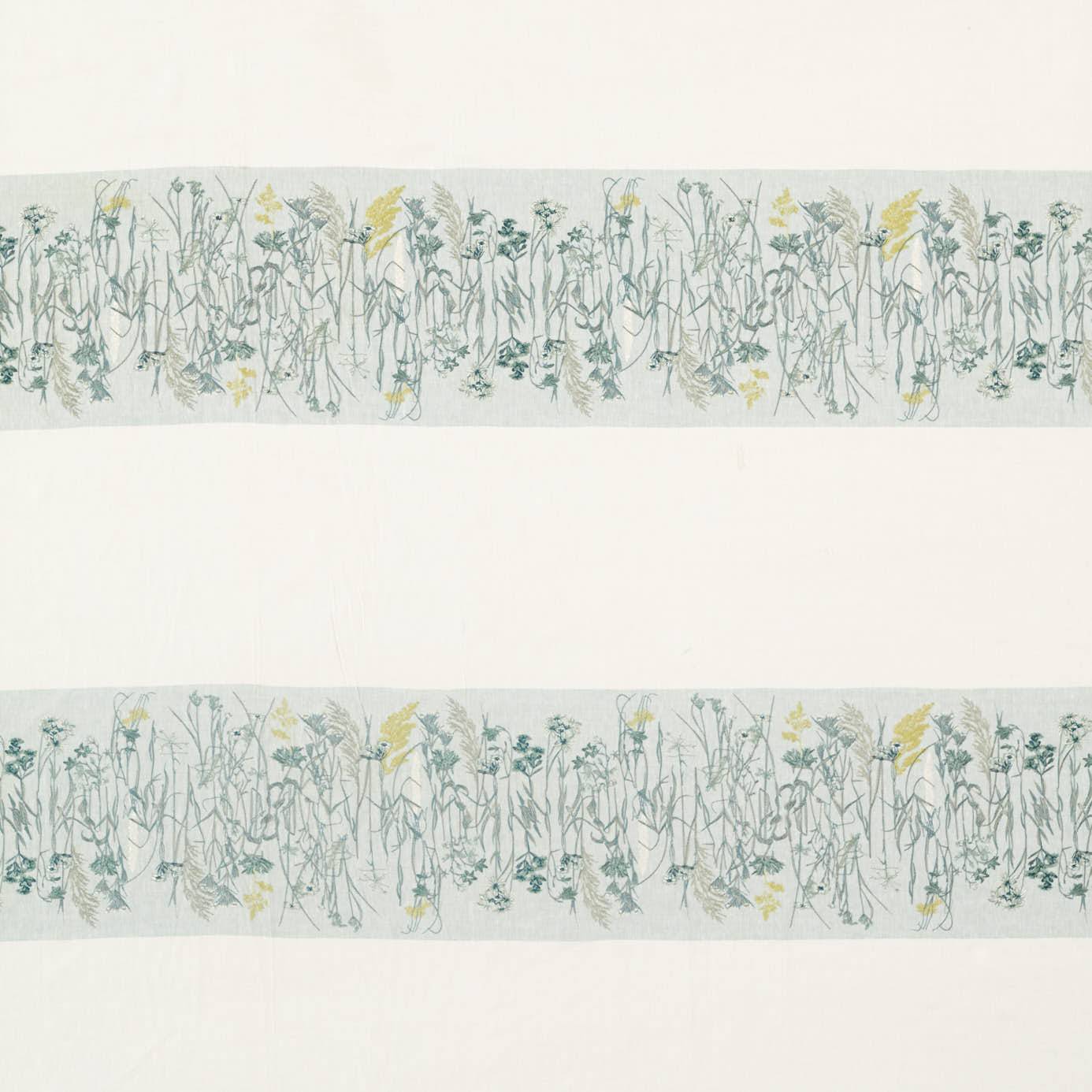 Pressed Flowers