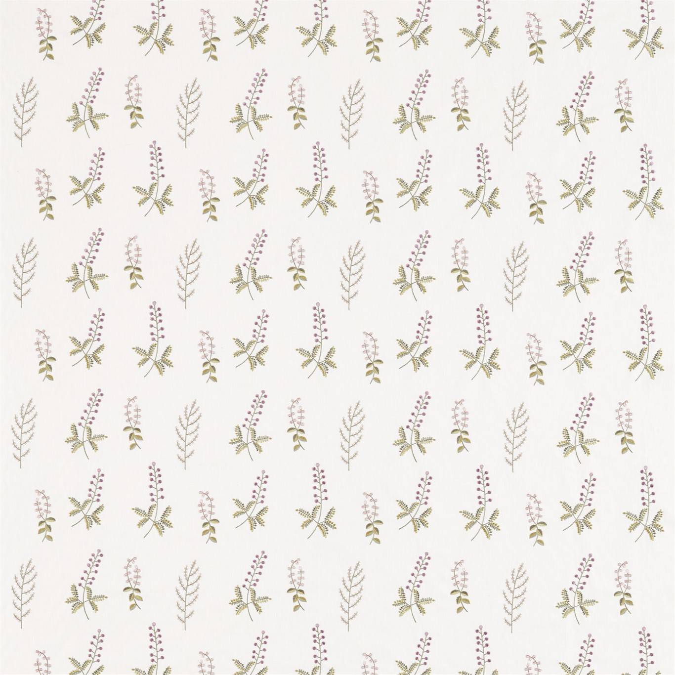 Bilberry