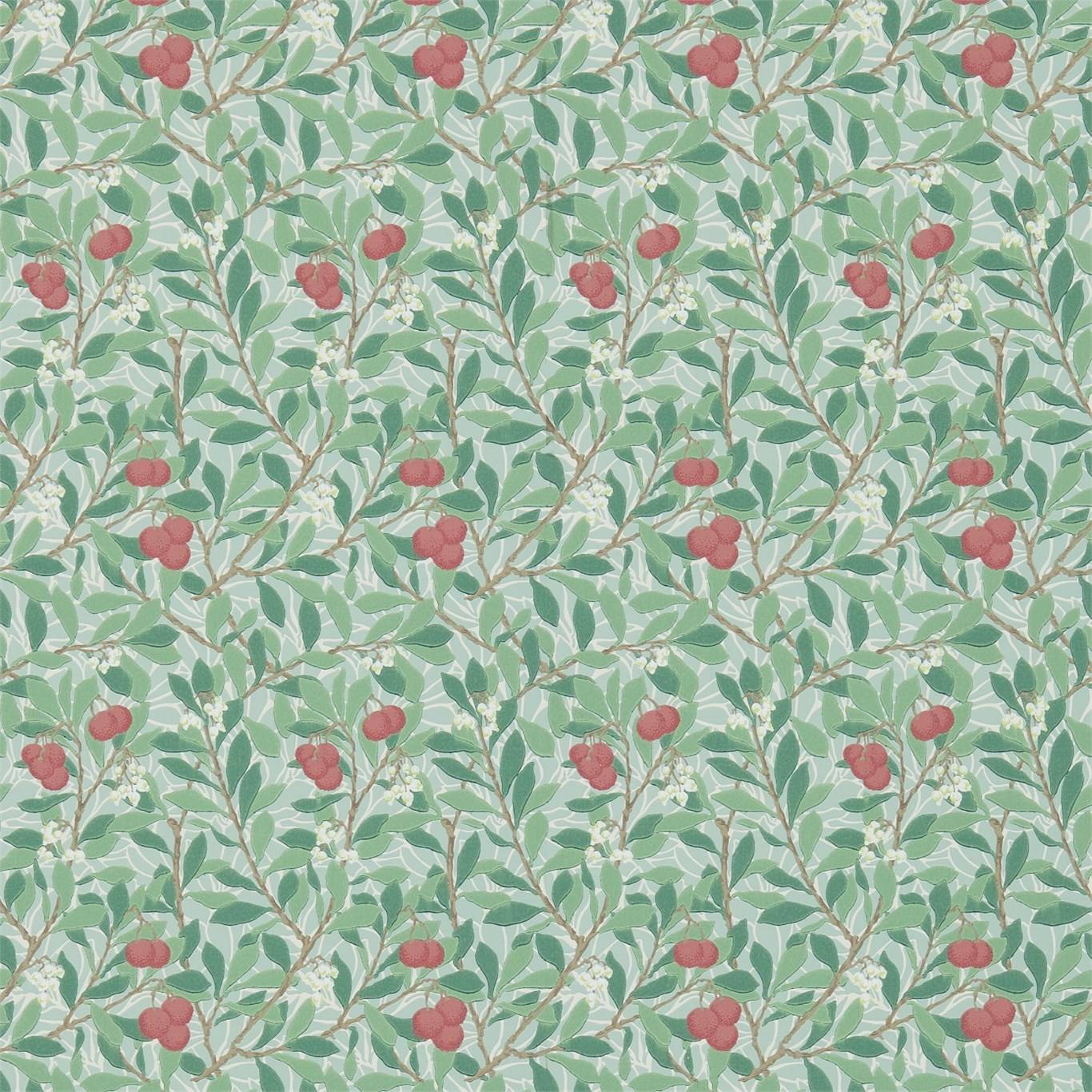 Arbutus
