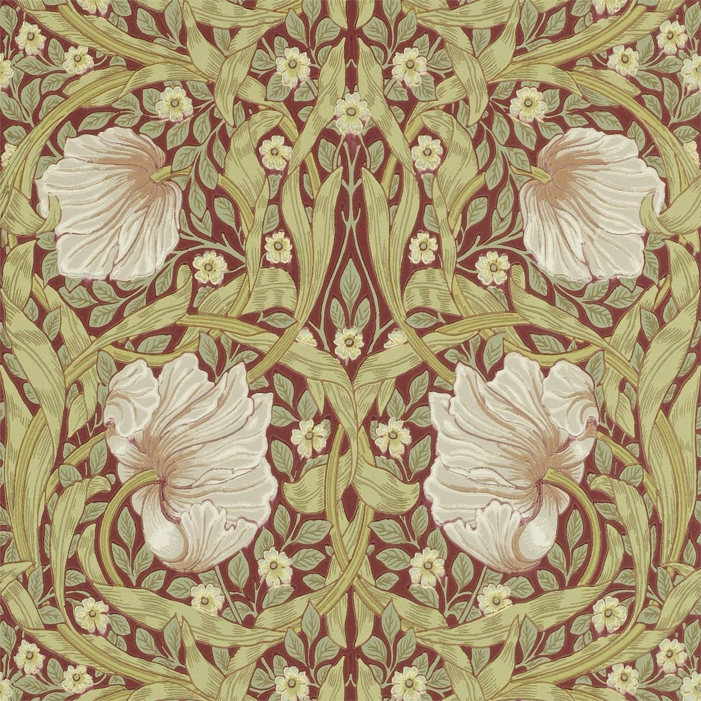 Pimpernel