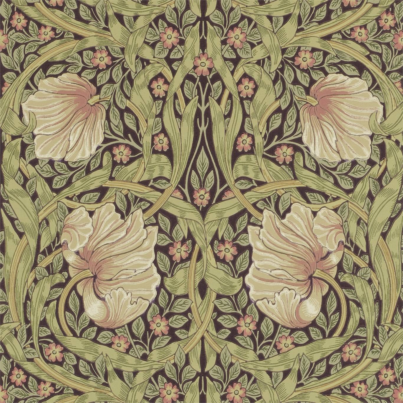 Pimpernel