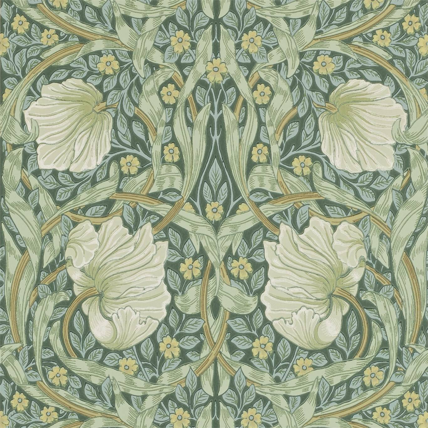 Pimpernel