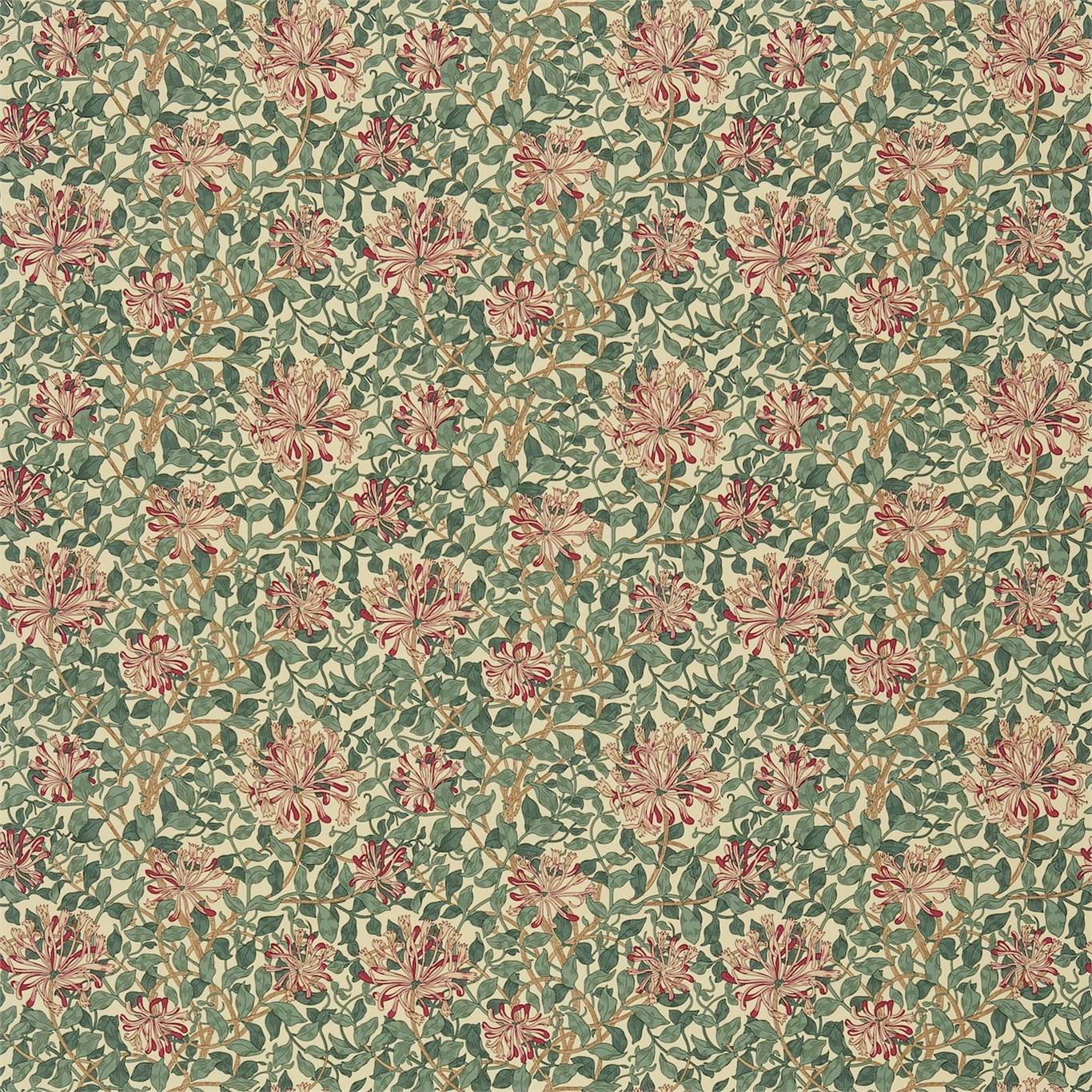 Honeysuckle