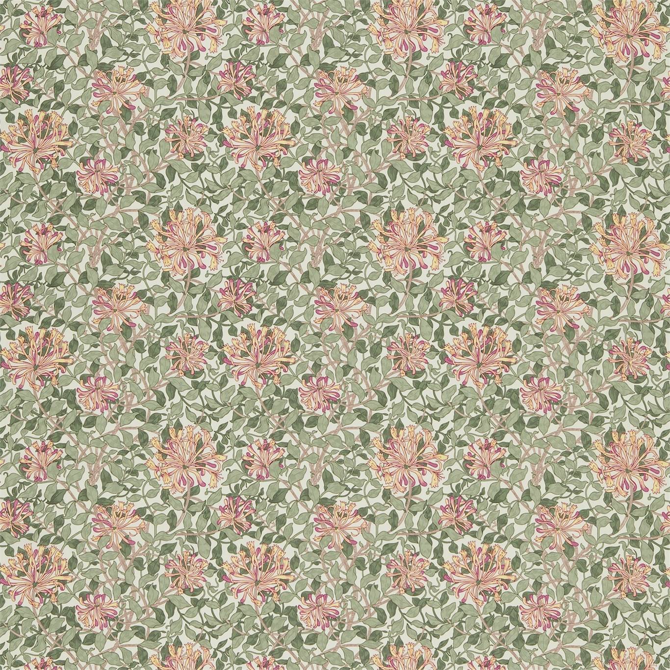 Honeysuckle
