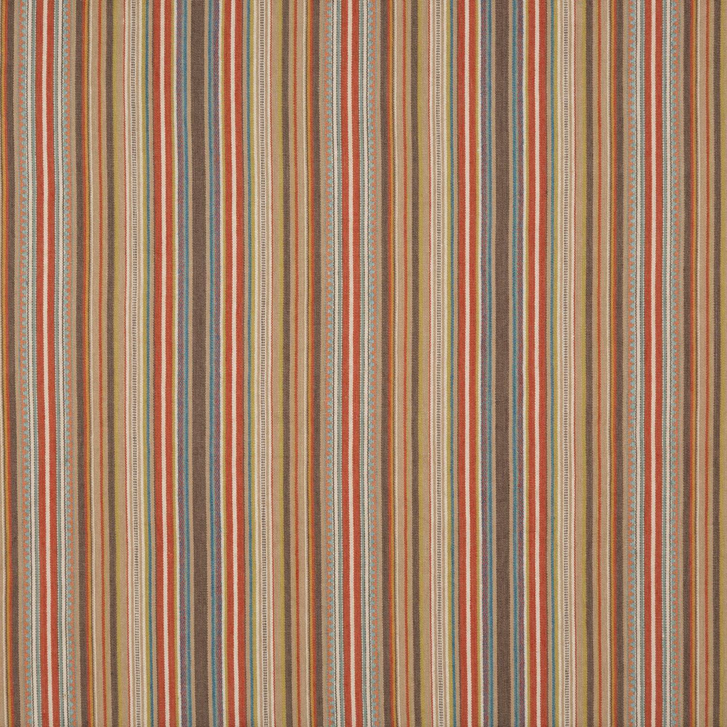 Tapton Stripe