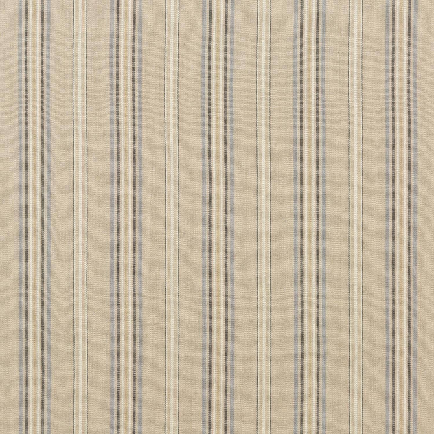 Exeter Stripe
