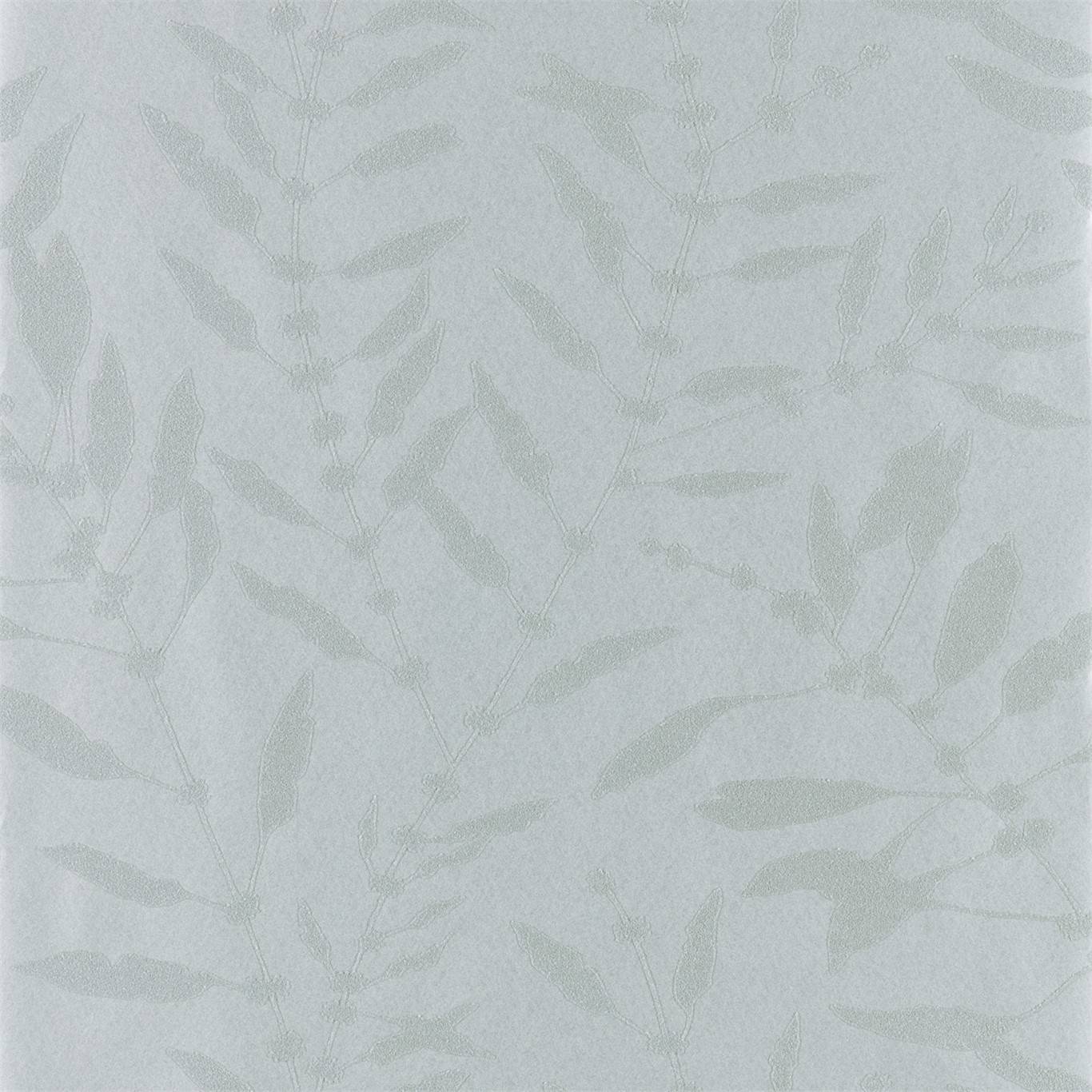 Chaconia Shimmer