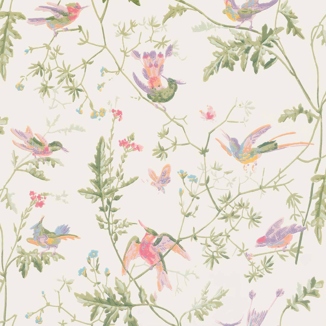 Hummingbirds