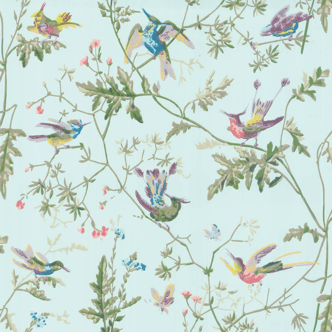 Hummingbirds