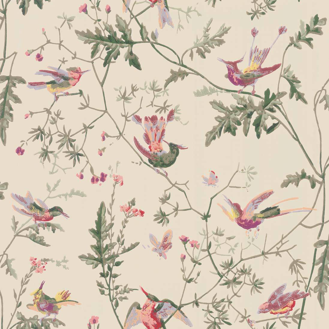Hummingbirds