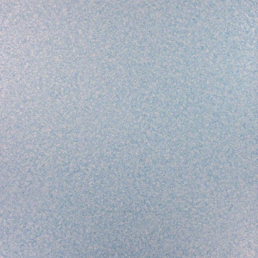 Corteccia