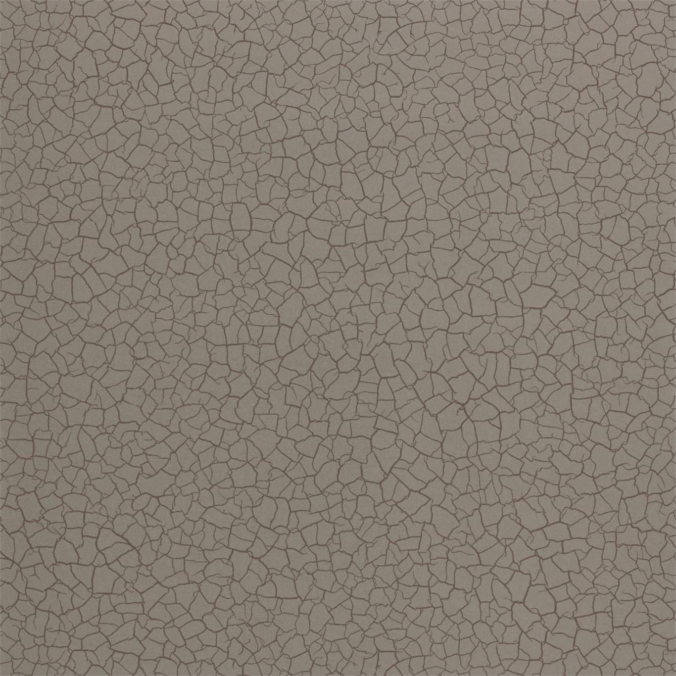 Cracked Earth