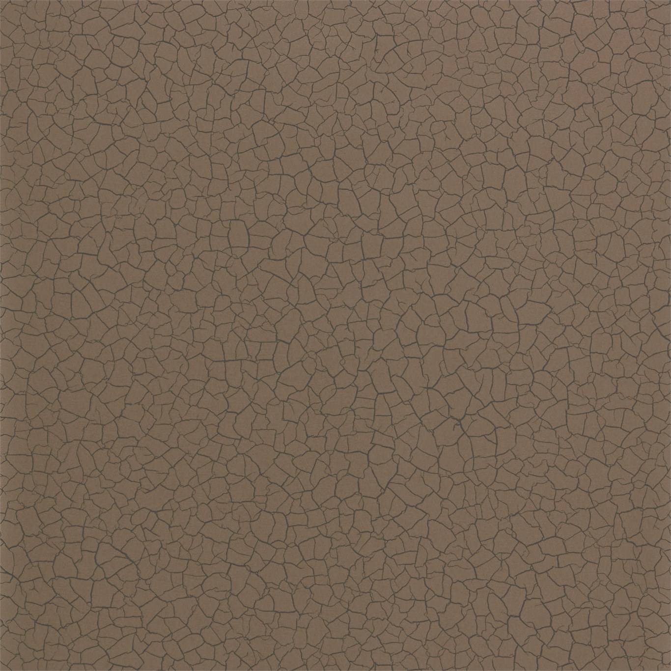 Cracked Earth