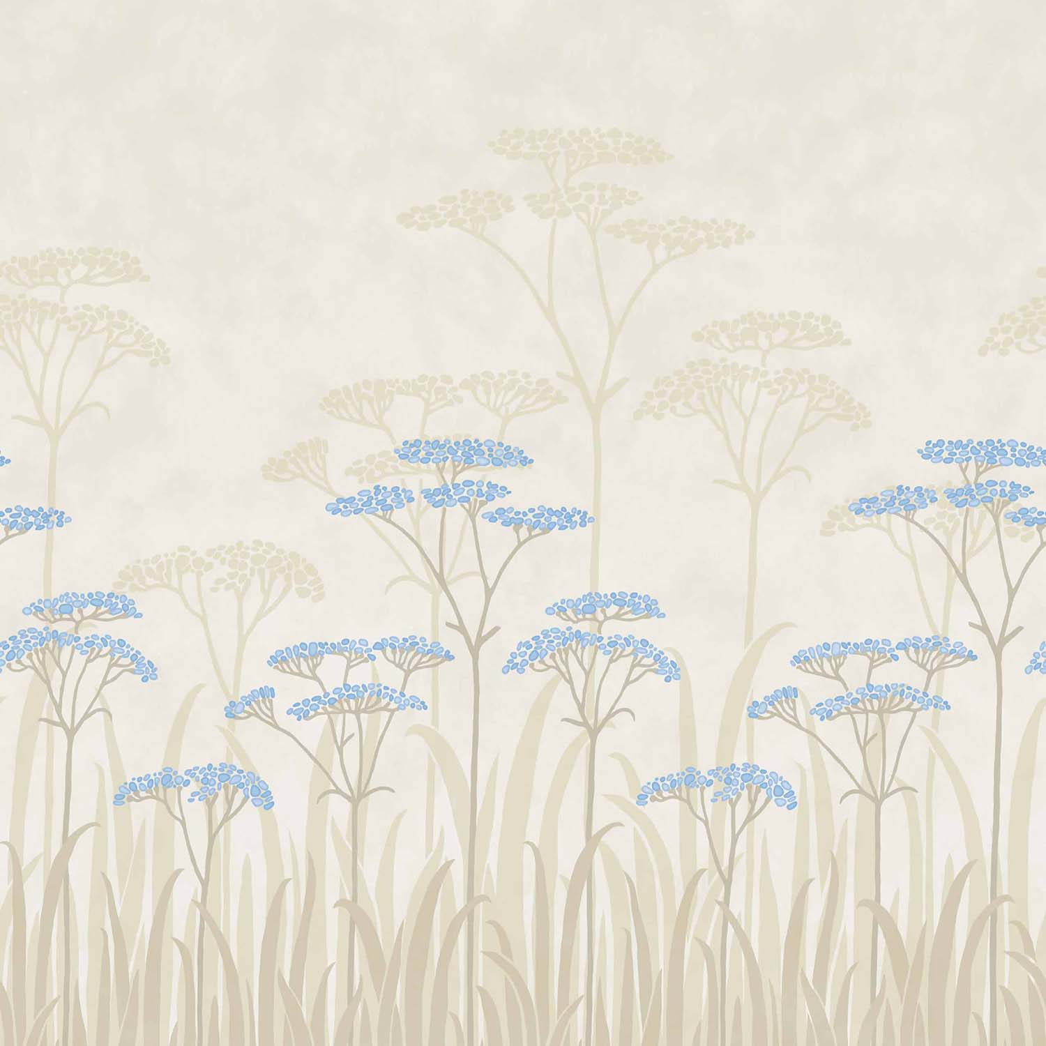 Achillea