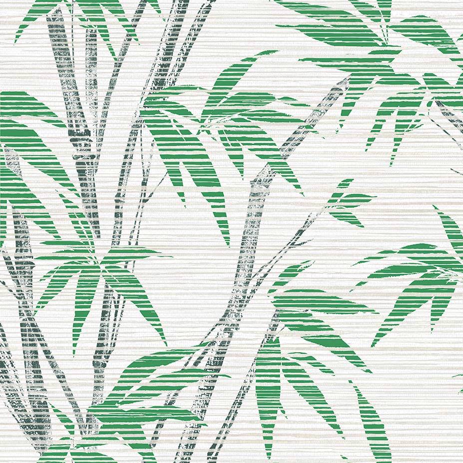 Bamboo