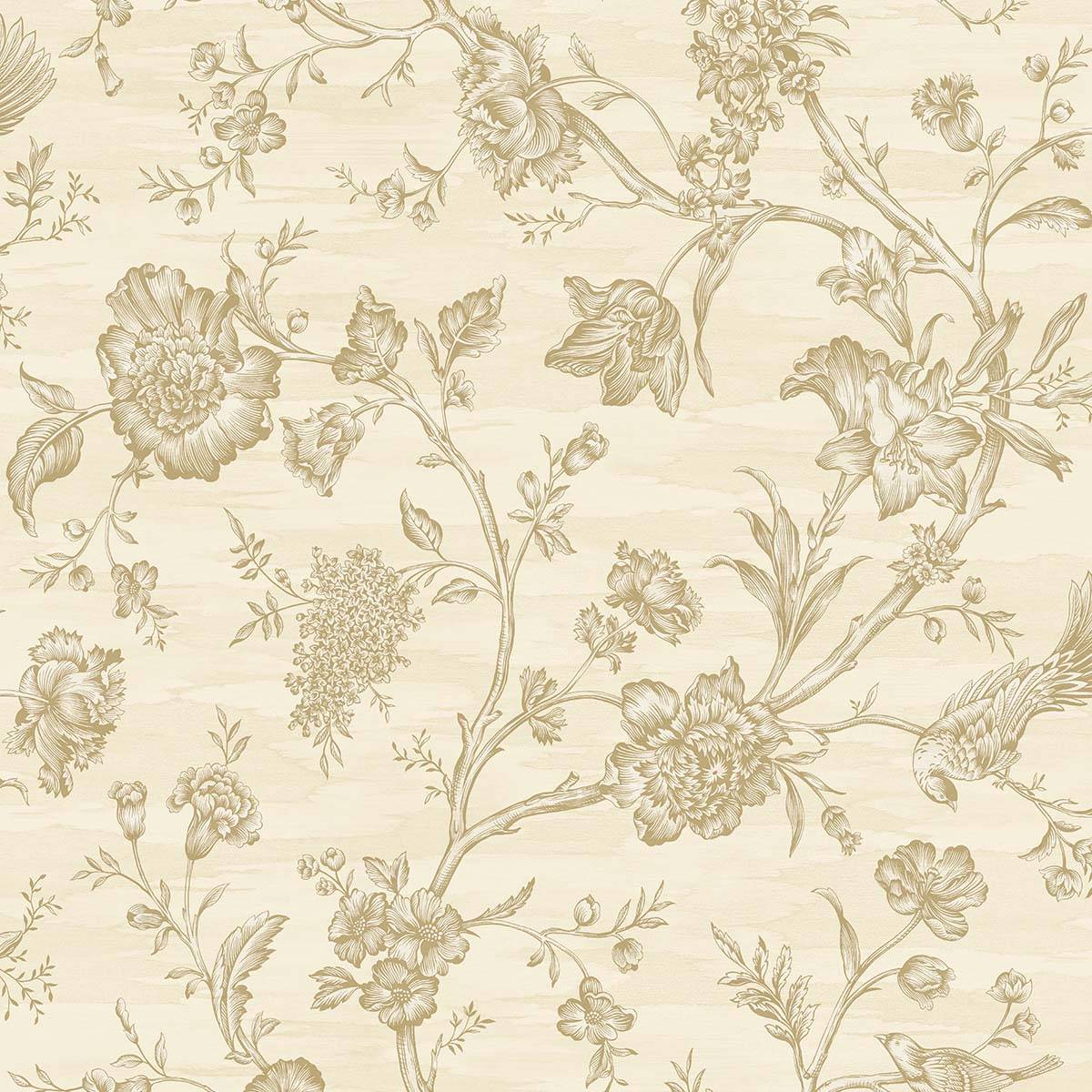 Toile Trail