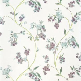 Edo Bloom