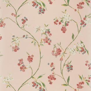 Edo Bloom