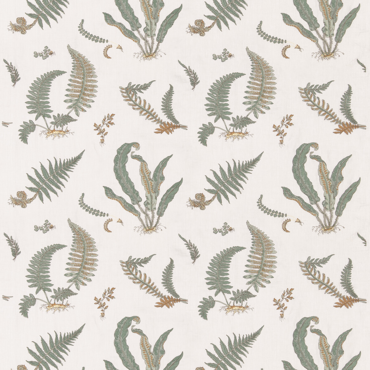 Ferns Embroidery