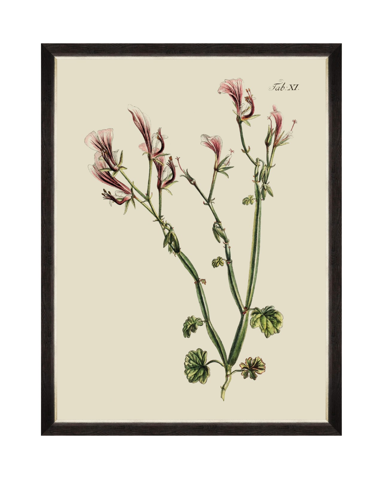 images/productimages/small/botanical-i-framed-art-60x80cm-fa13224.jpg