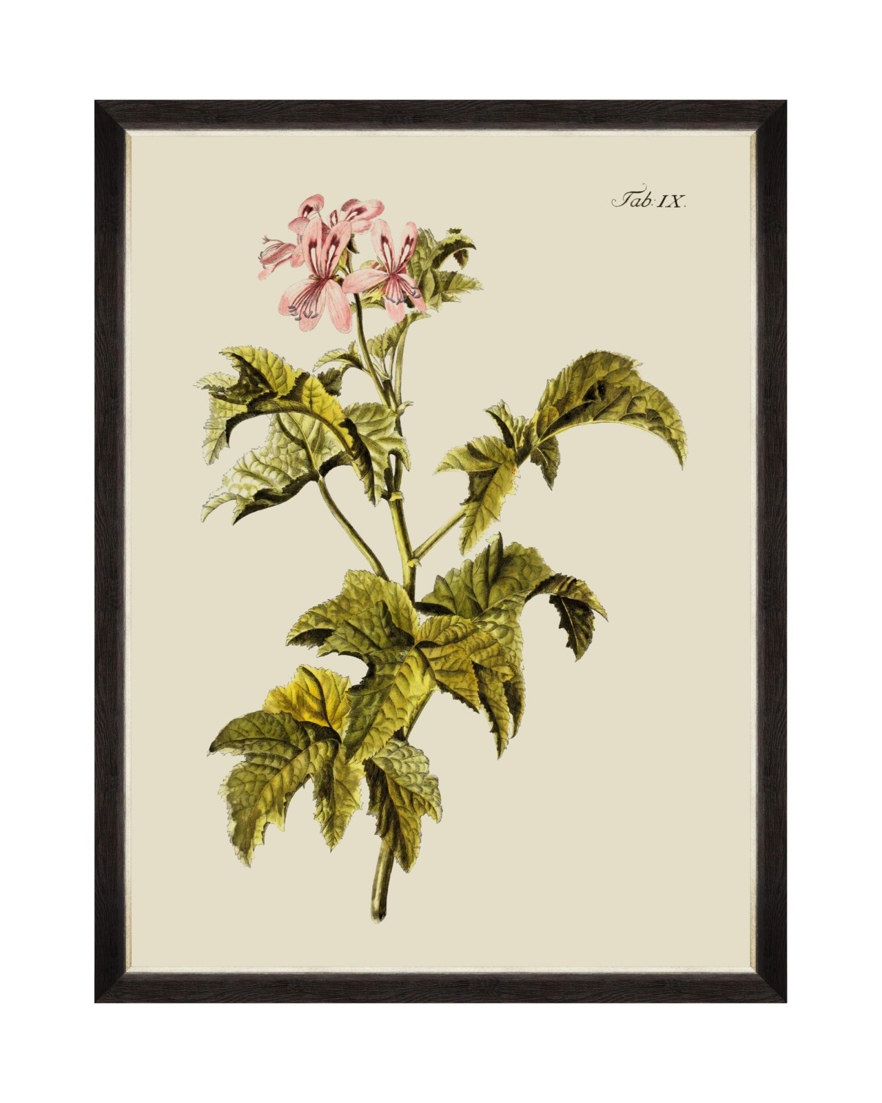 images/productimages/small/botanical-iii-framed-art-60x80cm-fa13226.jpg