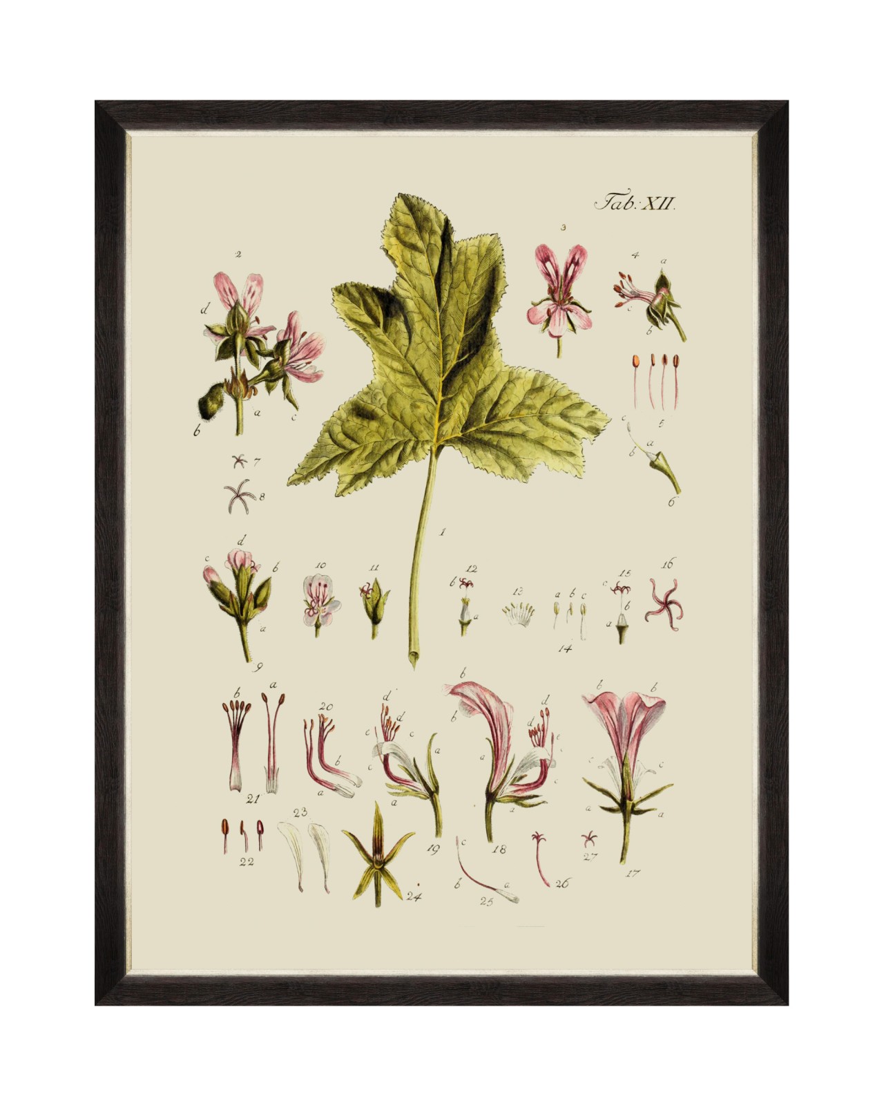 images/productimages/small/botanical-v-framed-art-60x80cm-fa13228.jpg