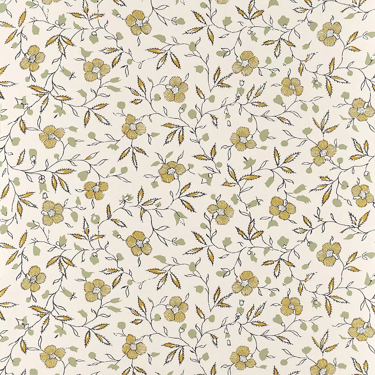 Marigold
