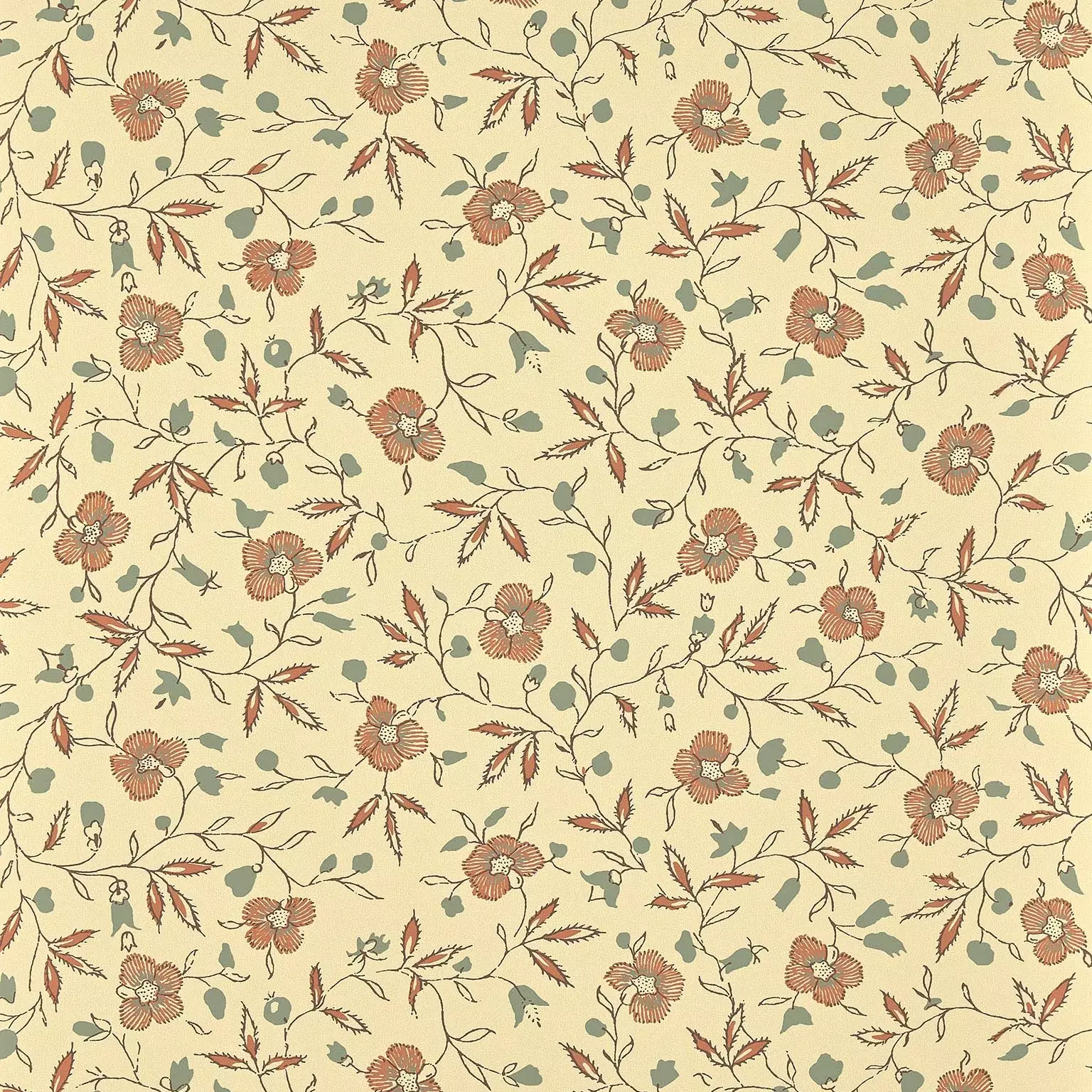 Marigold