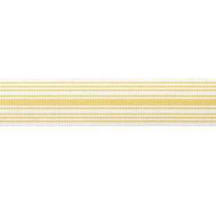 MDS Stripe Border