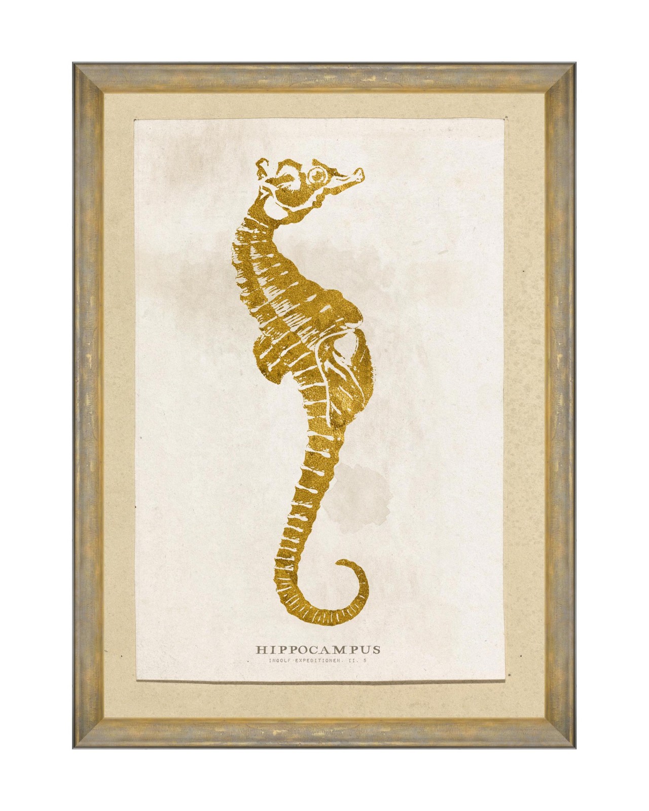images/productimages/small/caribbean-sea-life-hippocampus-framed-art-50x70cm-fa13181.jpg