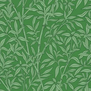Bamboo Forest