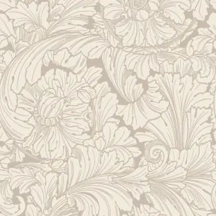 Acanthus
