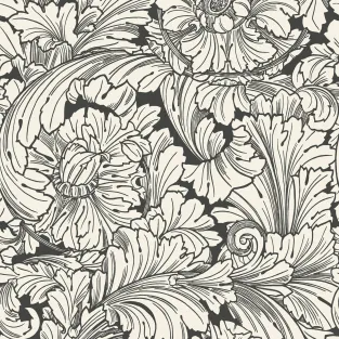 Acanthus