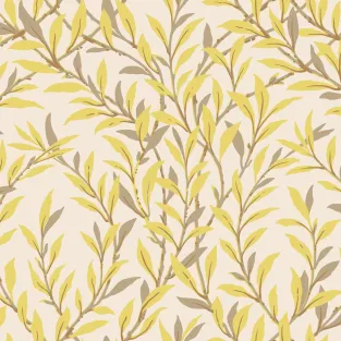 Willow Branch