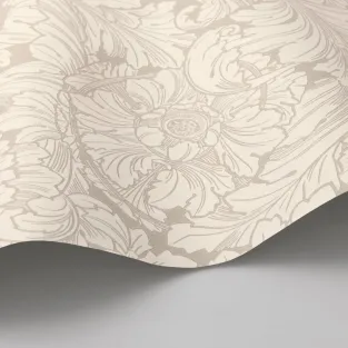 Acanthus