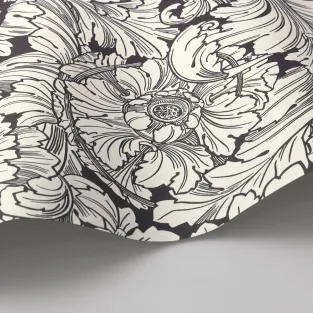 Acanthus