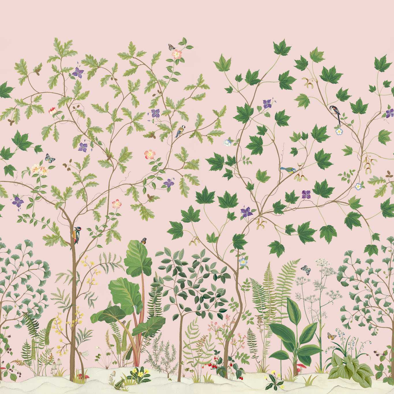 Sycamore & Oak