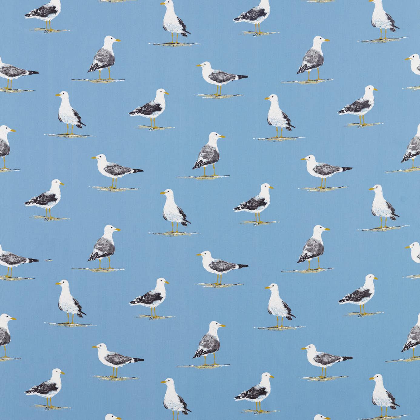Shore Birds