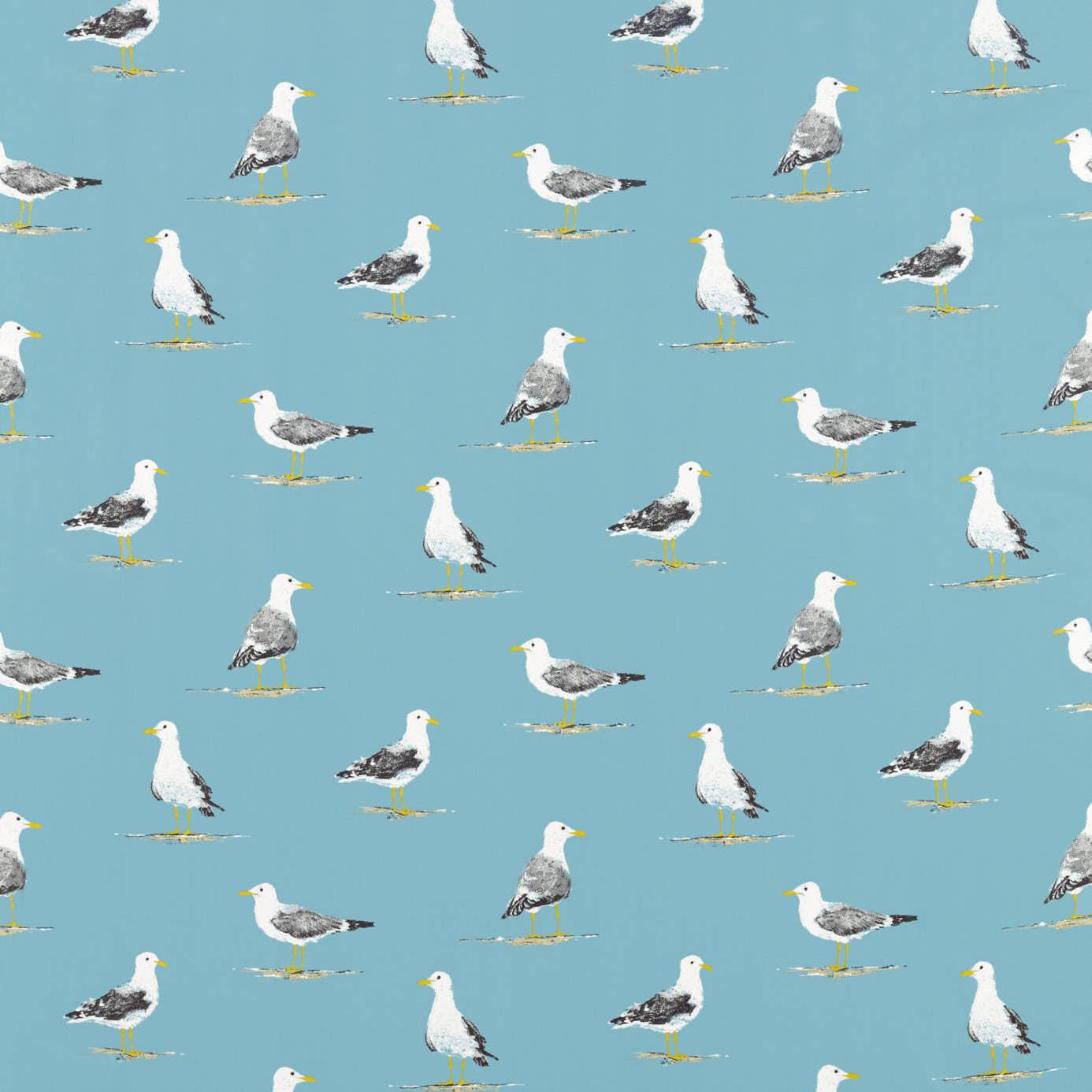 Shore Birds