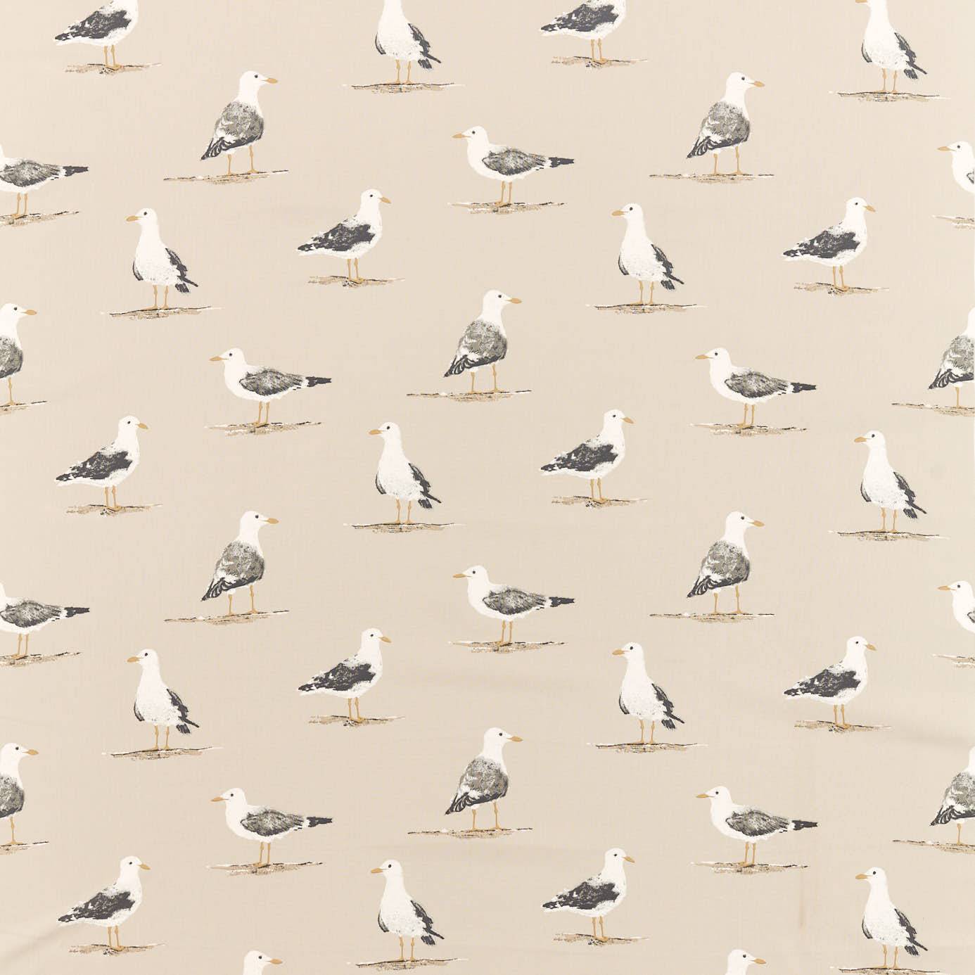 Shore Birds