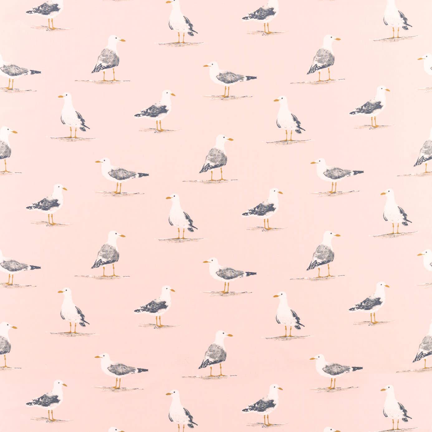 Shore Birds