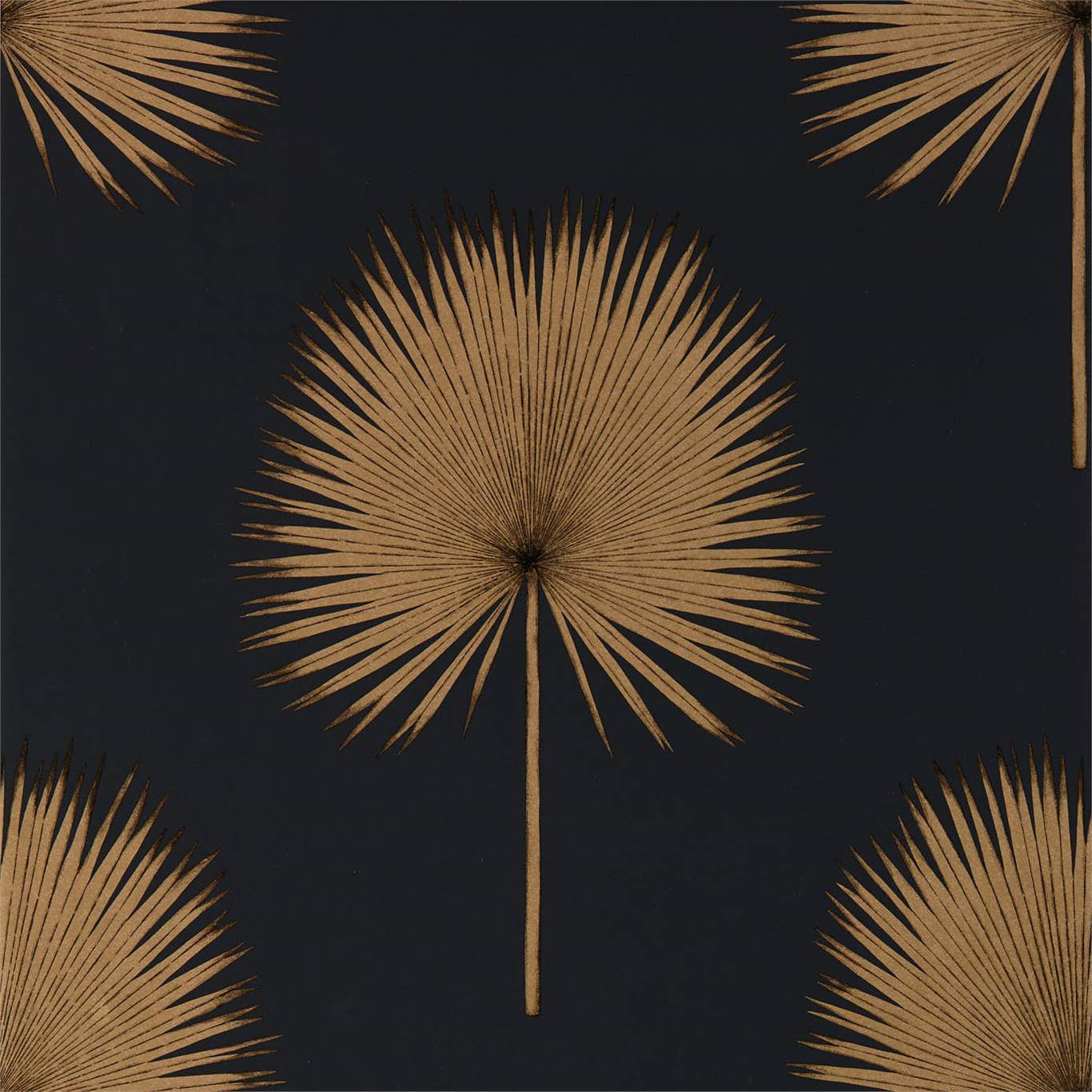 Fan Palm