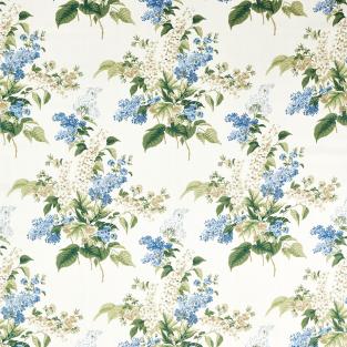 Delphinium & Lilac