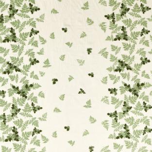 Alice's Fern