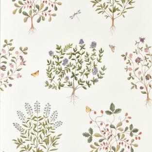 Thyme Walk