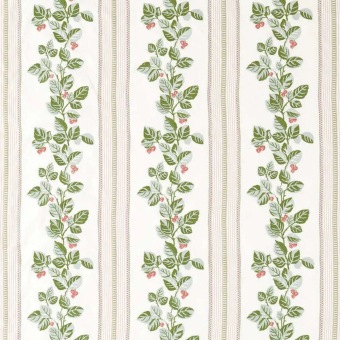 Cobnut Stripe