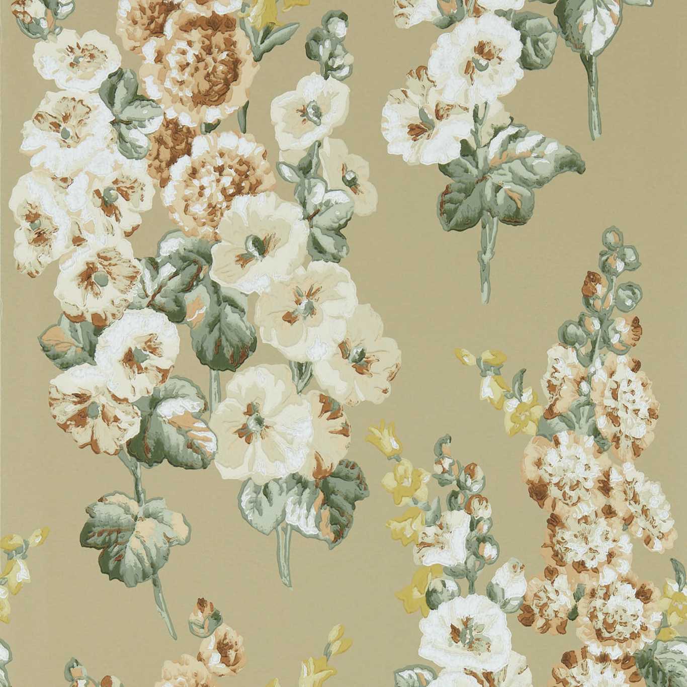 Hollyhocks
